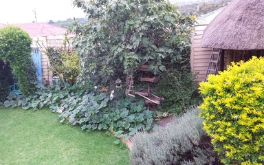 Fri 14 Feb 16:03:49 CET 2020