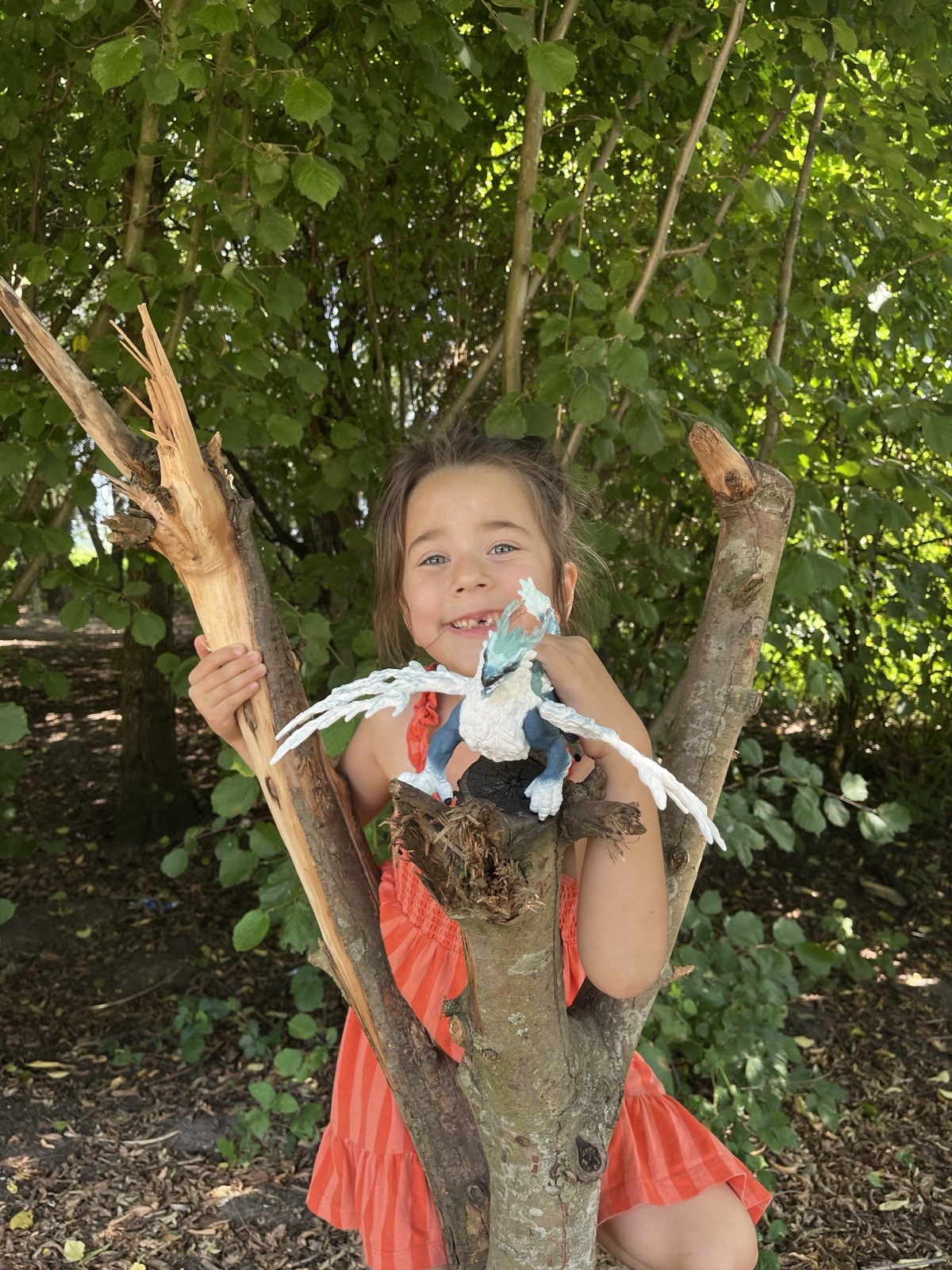 Sat Aug 23 11:46:31 AM CEST 2025