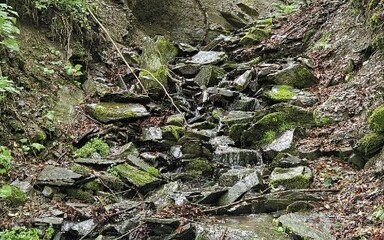 Sat Aug 23 11:46:29 AM CEST 2025