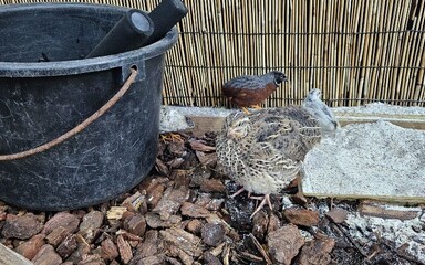 Sat Aug 23 11:46:30 AM CEST 2025